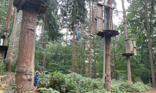 Year 12 students at Go Ape